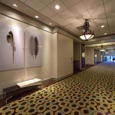 фото отеля Radisson Hotel Whittier