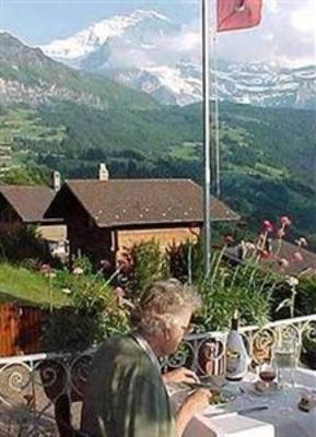 фото отеля Hotel Bellevue-Wengen