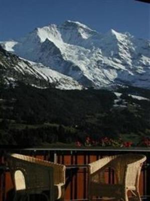 фото отеля Hotel Bellevue-Wengen