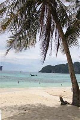 фото отеля Phi Phi Beach Front Resort