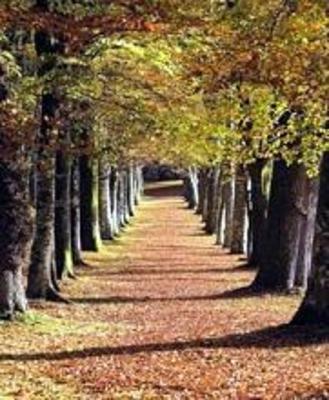 фото отеля Domaine De Kerbastic Hotel Guidel