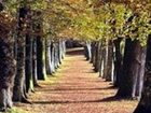 фото отеля Domaine De Kerbastic Hotel Guidel