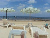 Silver Sand Resort