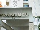 фото отеля Flamingo Beach Hotel Larnaca