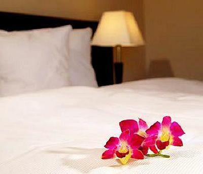 фото отеля Hotel Kudowa