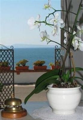 фото отеля Hotel Villa Garden
