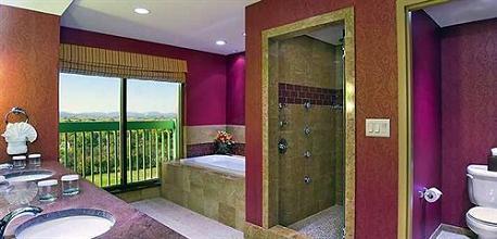фото отеля Embassy Suites Murfreesboro
