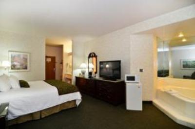 фото отеля BEST WESTERN Twin Falls Hotel