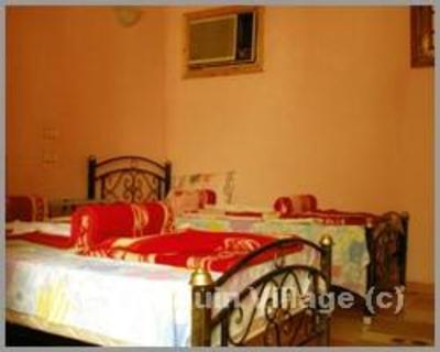 фото отеля Penguin Village Hotel Dahab
