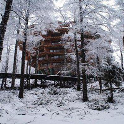 фото отеля Nothofagus Hotel & Spa