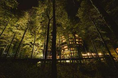 фото отеля Nothofagus Hotel & Spa