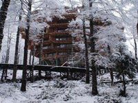 Nothofagus Hotel & Spa