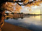 фото отеля Hampton Inn Dulles-Cascades