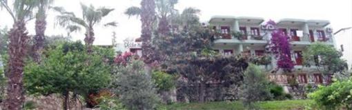 фото отеля Patara Delfin Hotel
