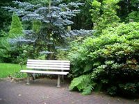 Waldpension Brake