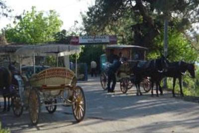фото отеля Ephesus Cottages