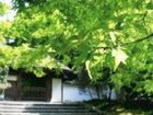 фото отеля Uoiwa Ryokan