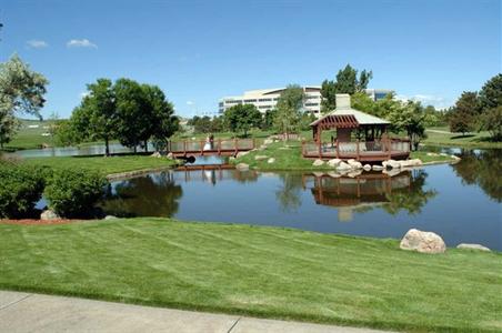 фото отеля Hilton Garden Inn Denver South/Meridian