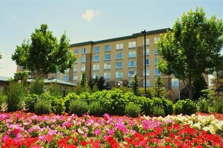 фото отеля Hilton Garden Inn Denver South/Meridian