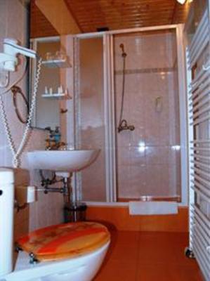 фото отеля Hotel Zlaty Orel