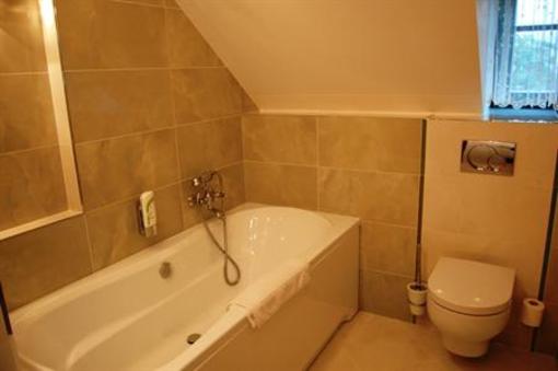 фото отеля Hotel Zlaty Orel
