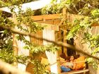 фото отеля Canaima Chill House