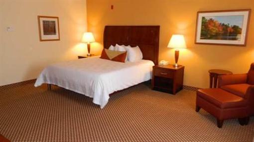 фото отеля Hilton Garden Inn Odessa