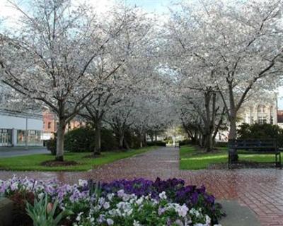 фото отеля Hilton Garden Inn - Macon/Mercer University