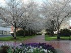 фото отеля Hilton Garden Inn - Macon/Mercer University