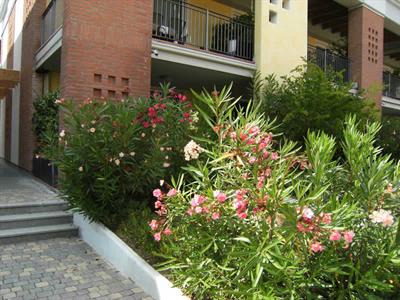 фото отеля Residence Gardazzurro Padenghe sul Garda