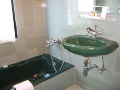 фото отеля Hotel Maharani Plaza