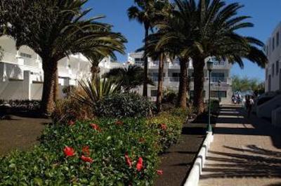 фото отеля THB Don Paco Castilla