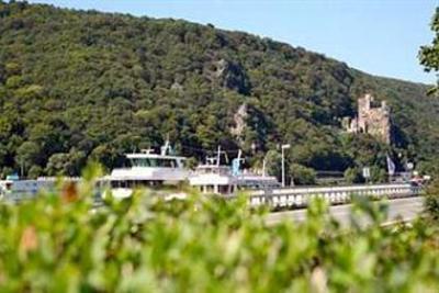 фото отеля Rheinhotel Lamm
