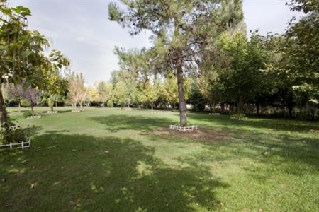 фото отеля Holiday Inn Bursa