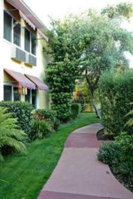 фото отеля Wild Palms Hotel