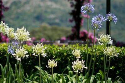 фото отеля Son Siurana