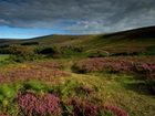 фото отеля Exmoor White Horse Inn