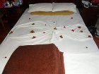 фото отеля Bronze Hotel