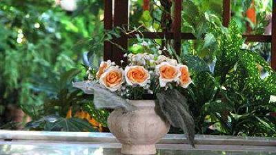 фото отеля Free Holiday Bed & Breakfast