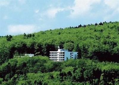 фото отеля Dorint Hotel And Sportresort Arnsberg Sauerland