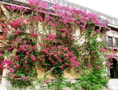 фото отеля Chanoud Garh