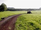 фото отеля Pico do Refúgio - Casas de Campo