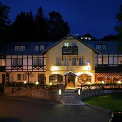 фото отеля Hotel Erika