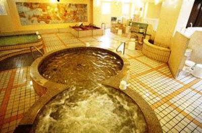 фото отеля Miyazaki Dai-ichi Hotel