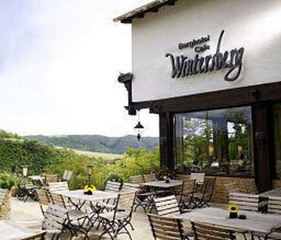 фото отеля Berghotel Wintersberg Am Limes Bad Ems