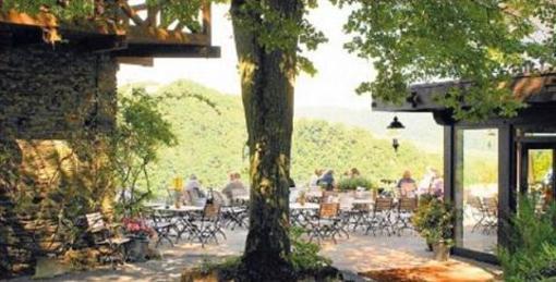фото отеля Berghotel Wintersberg Am Limes Bad Ems