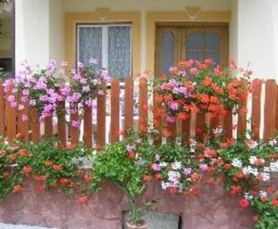 фото отеля Jutka Vendeghaz Heviz