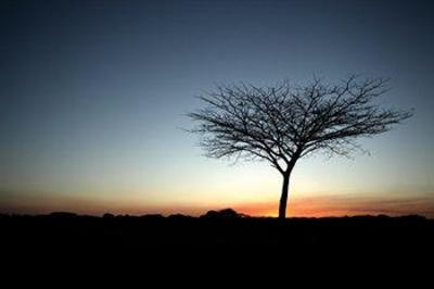 фото отеля Bushlands Game Lodge