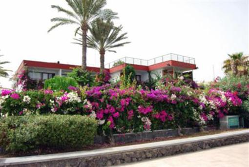 фото отеля San Nicolas Hotel Gran Canaria