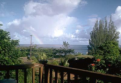 фото отеля Backpackers Vacation Inn and Plantation Village
